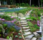vegetable garden view 2