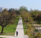 River Turia Park, Valencia, Spain