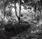 La Colina: Bunny Williams 1