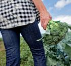 vegetables