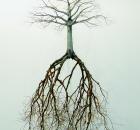 Garden Design - Jorge Mayet Sculpture