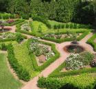 Kevin Jacobs rose garden