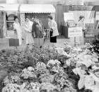 Atomic Gardens
