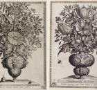 Polyptoton de Flores 1