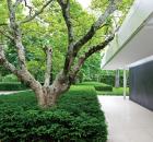 Garden Design - ModernGarden01