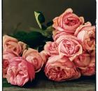 Rosalind David Austin Roses