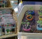 plants in bottle caps