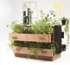 Milan plant furniture fair