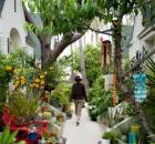 Venice Garden & Home Tour