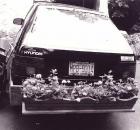 car bumper window box