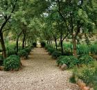 Oregon garden 3