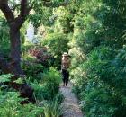 Garden Design - The Path Less Taken 01