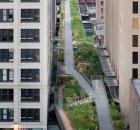 high_line_falcone_flyover