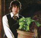 neville longbottom-sq