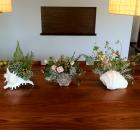 trio of flower arrangements in seashells