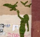 moss graffiti