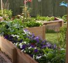 new zealand raised beds