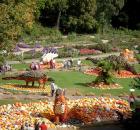 pumpkinfest