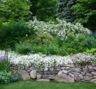 Garrison New York My Garden 4