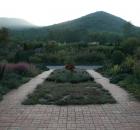 dahlia garden appalachian valley