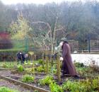 Incredible Edible