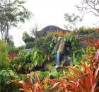 nevis Golden Rock Inn water feature