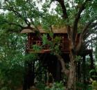 treehouse hotel tout