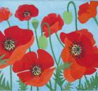 Georgetown Poppies