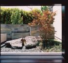 LA Sunset Boulevard Garden 2