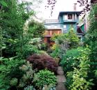 toronto shade garden 1
