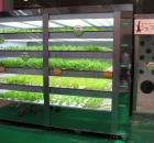 Chef's Garden