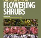 flowering shrub encyclopedia