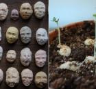 plantable seed faces