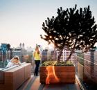 Roof Garden 01