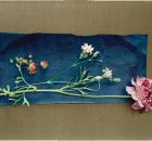 japanese_flowers_005.jpg