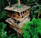 treehouse