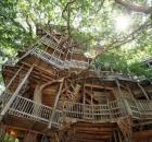 Treehouse