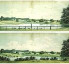 Repton -Tratton