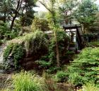 manitoga_2012