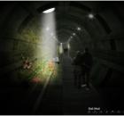 mushroom-tunnel