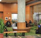 Garden Design