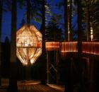 redwood treehouse night