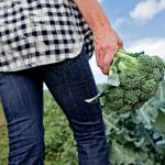 vegetables