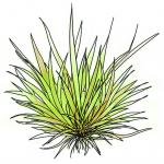 Garden Design - Made In The Shade 01