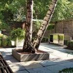 Garden Design