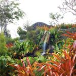 nevis Golden Rock Inn water feature