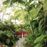 nevis-Golden-Rock-Inn-1