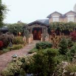 My Garden Petaluma CA winter