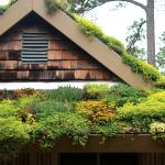 Norfolk Botanical Garden green roof