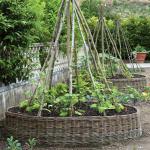 Trellis May 2012